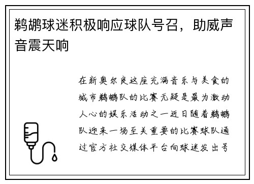鹈鹕球迷积极响应球队号召，助威声音震天响