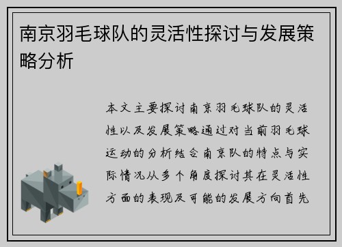 南京羽毛球队的灵活性探讨与发展策略分析